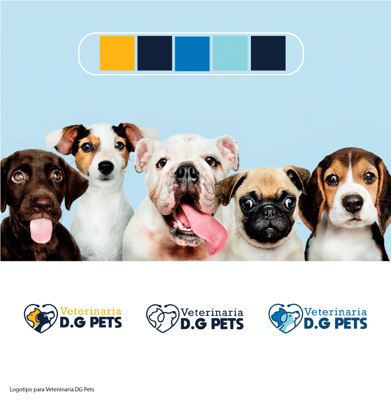 Logotipo-final-dg-pets